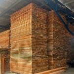 Cedar Lumber (Premium Grade)